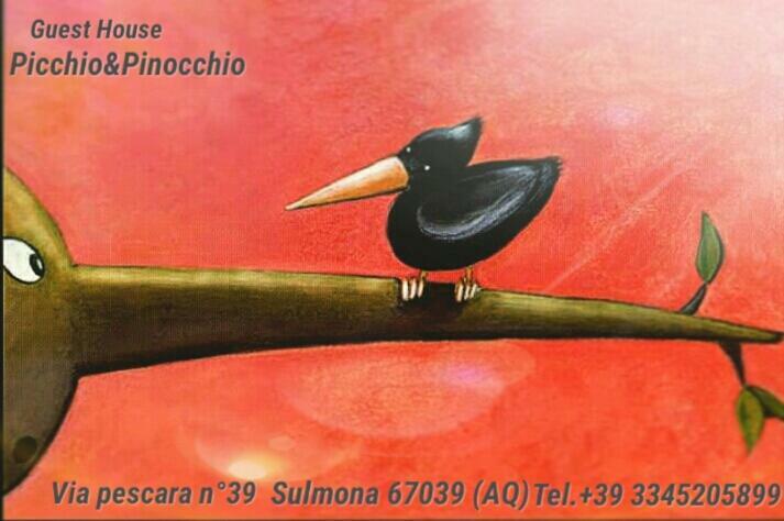 Picchio&Pinocchio Guest House ซุลโมนา ภายนอก รูปภาพ